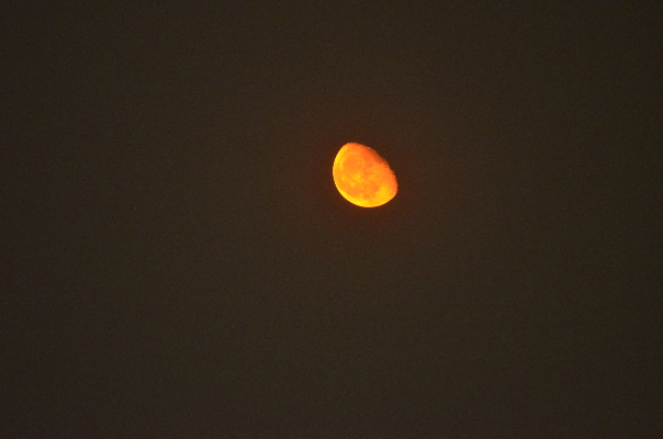 Scarlet_Moon