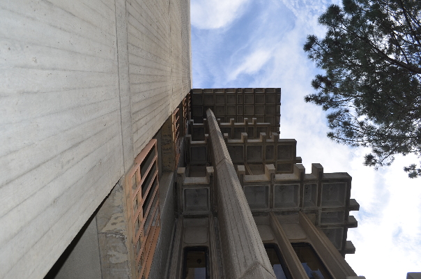 concrete_jungle1