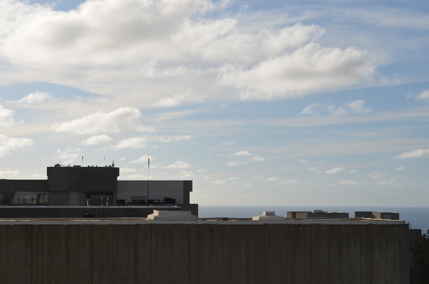 grey_horizon
