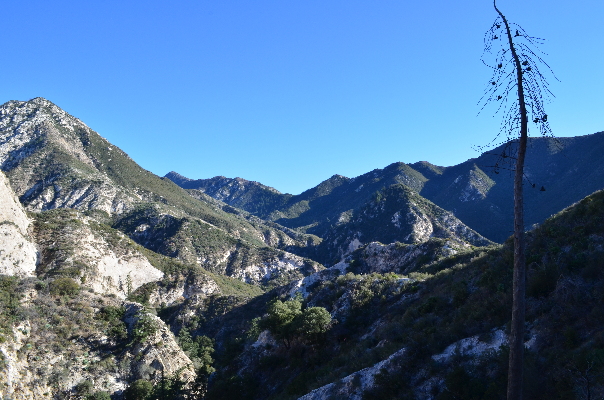 Switzer_Falls_Trail_View_Yucca